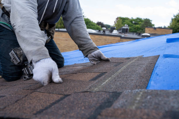 Best Roof Waterproofing Services  in Newhall, IA