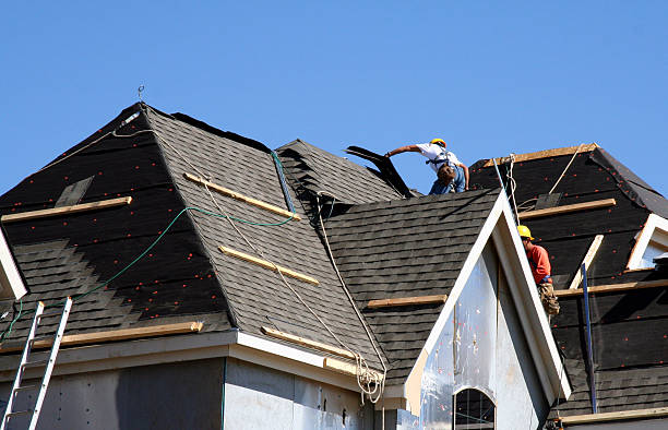 Best Roof Leak Repair  in Newhall, IA