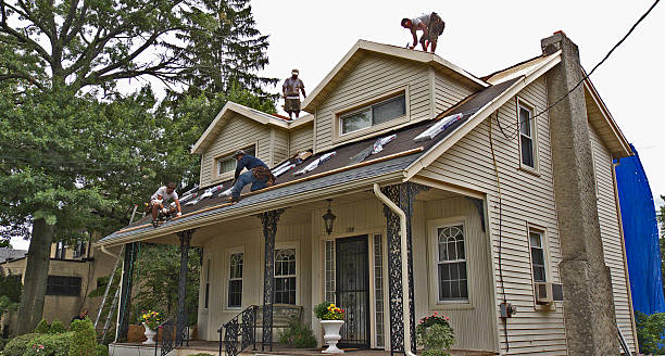 Roof Gutter Cleaning in Newhall, IA